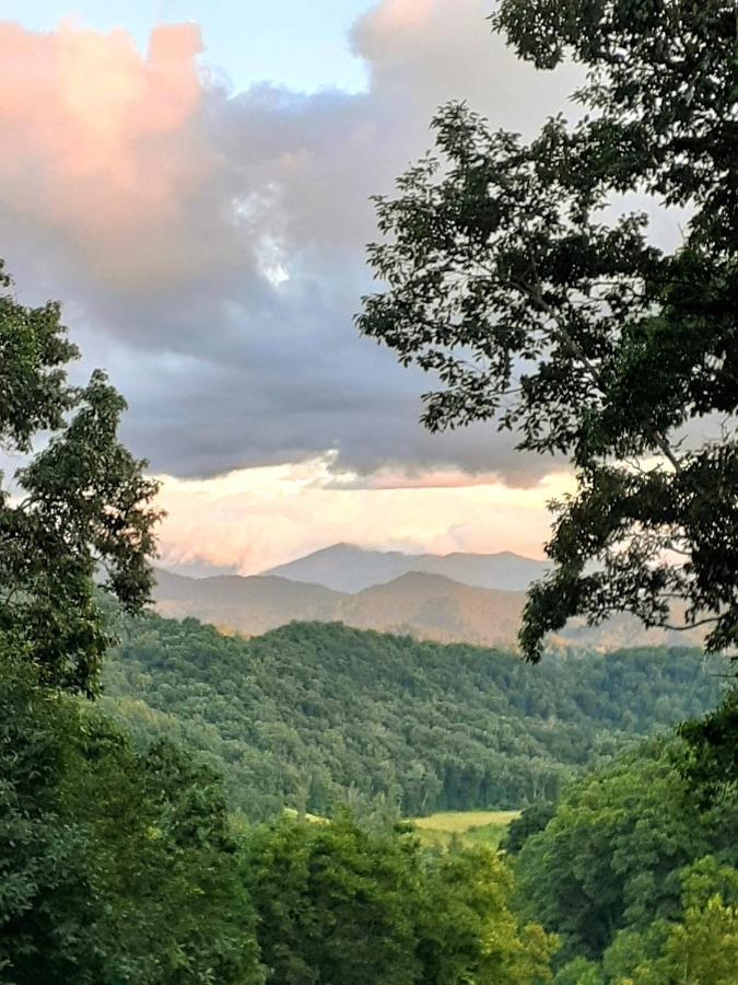 Treetops Cabin Easy To Asheville With Fast Wifi And Great View Swiss Exterior photo